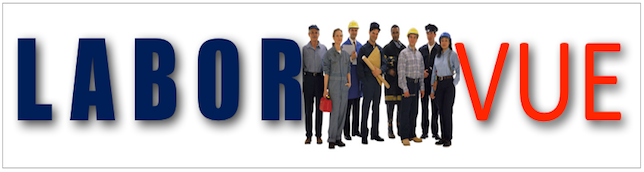 laborvue header